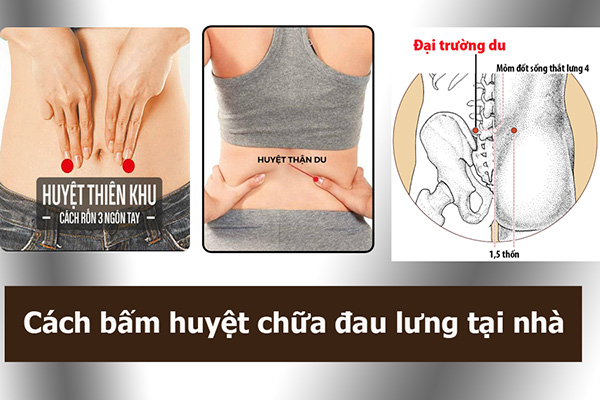 Cách massage bấm huyệt Thận du tốt cho sức khỏe