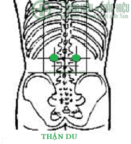 cach-massage-bam-huyet-than-du-tot-cho-suc-khoe-4